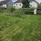 Garten mit Blick auf Haus