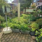 Gartenbereich