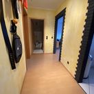 Diele (Archivaufnahme)